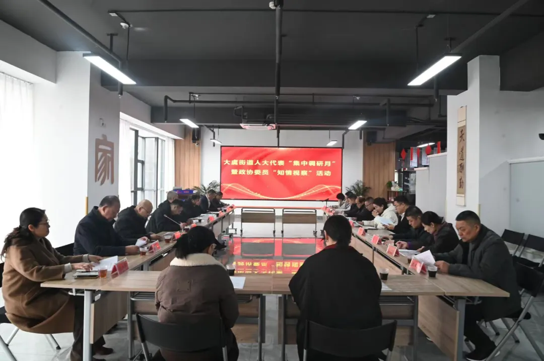 大虞街道组织开展“集中调研月”暨政协委员“知情视察”活动